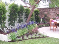 cottage planting