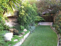 tropical planting