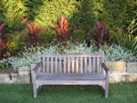 bench and plantings