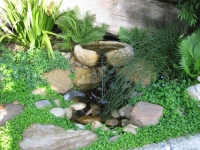water feature